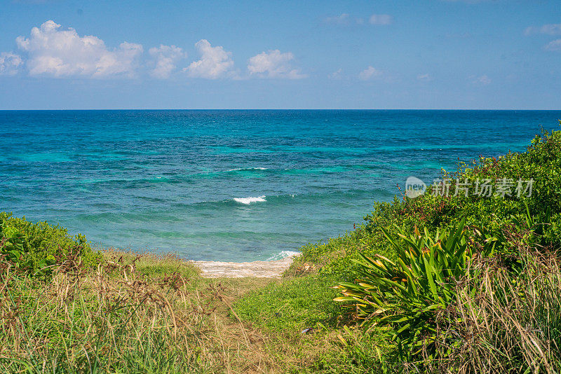 Isla Mujeres的自然景观